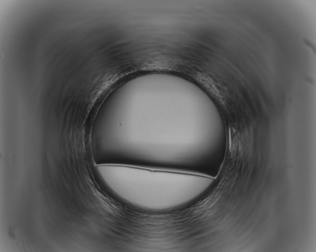 X0000098020204200803280801