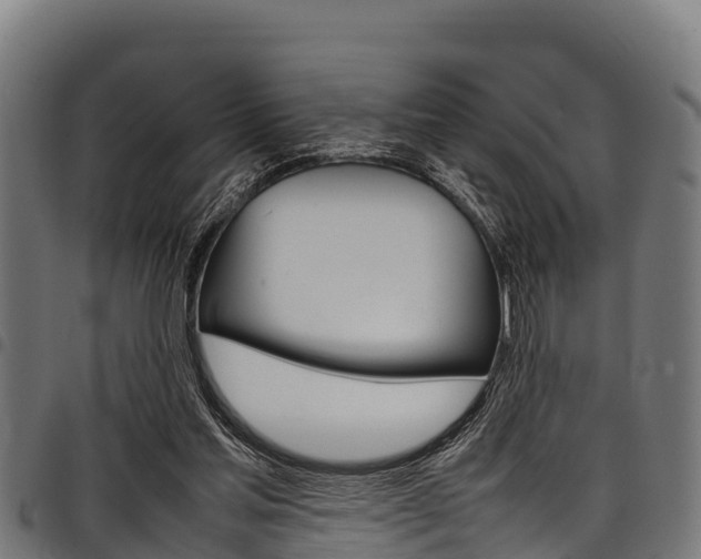 X0000098020205200803280800
