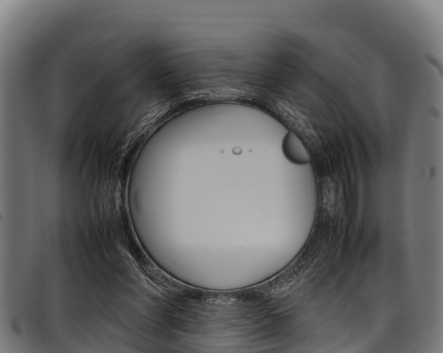 X0000098020206200803280800