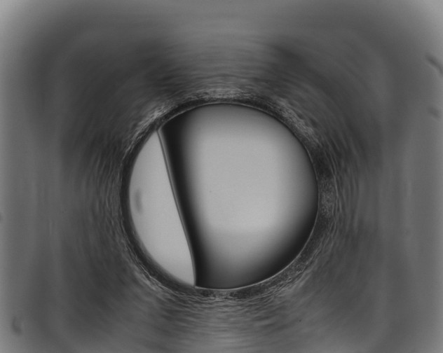 X0000098020207200803280800