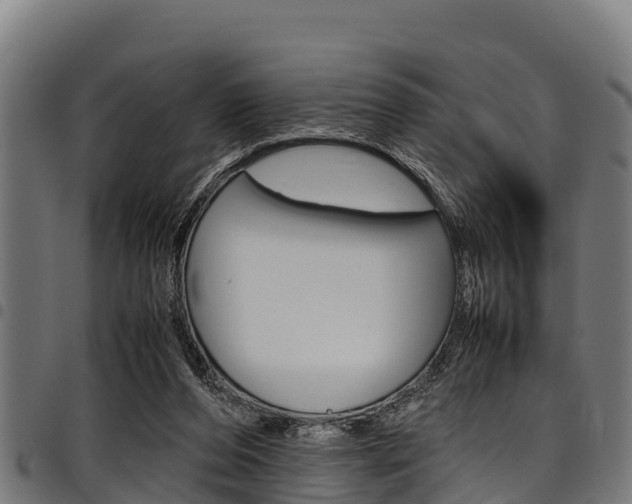 X0000098020208200803280800