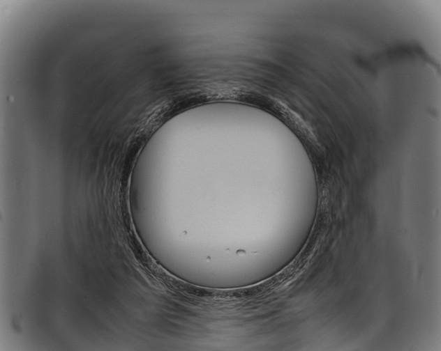 X0000098020209200803280800
