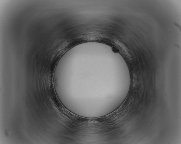 X0000098020210200803280800