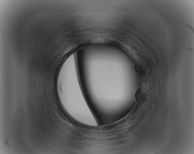 X0000098020211200803280800