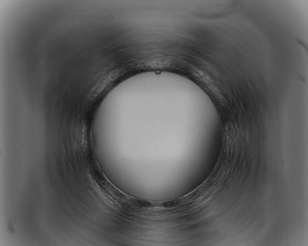 X0000098020212200803280800