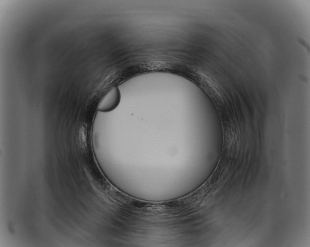 X0000098020214200803280800