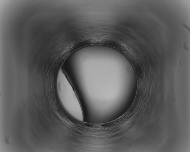 X0000098020215200803280800