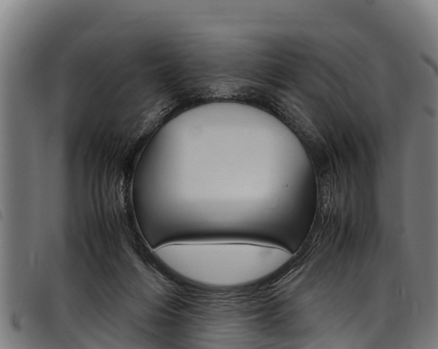 X0000098020216200803280800