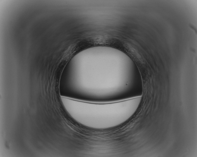 X0000098020217200803280800