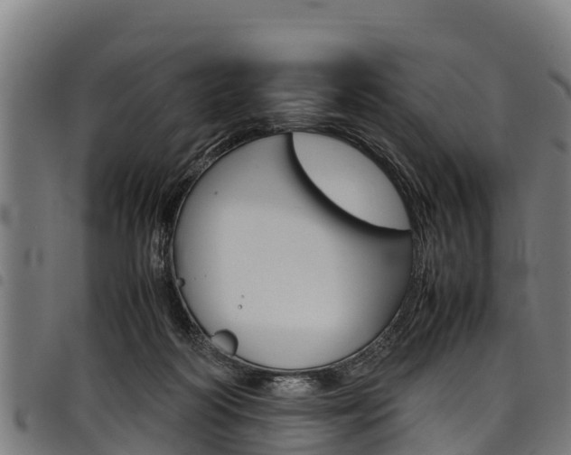 X0000098020218200803280800