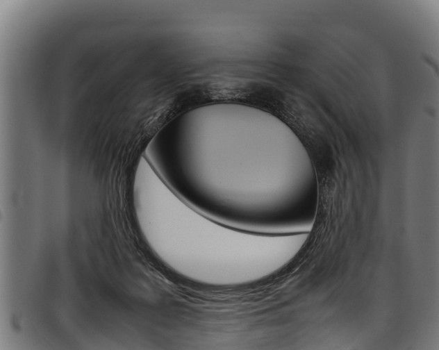 X0000098020219200803280800