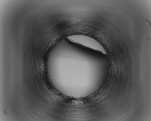 X0000098020220200803280800