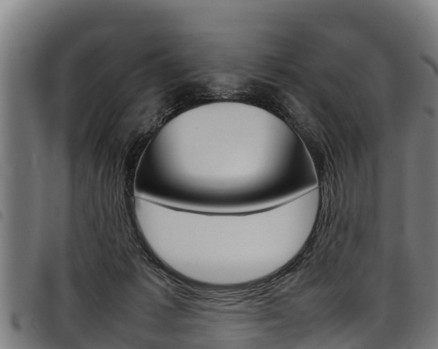 X0000098020221200803280800
