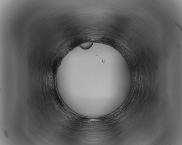 X0000098020222200803280800