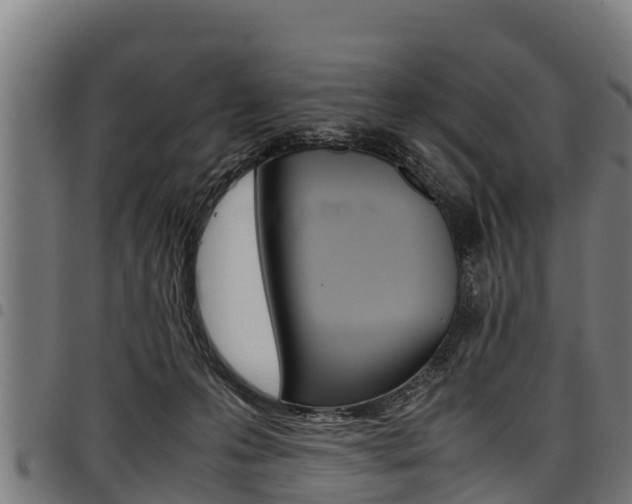 X0000098020223200803280800