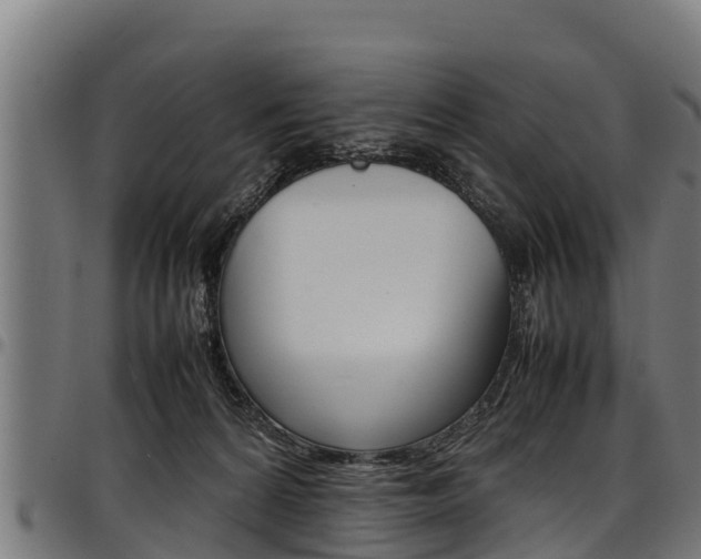 X0000098020224200803280800