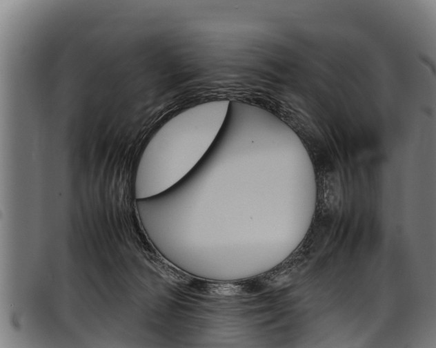 X0000098020226200803280800