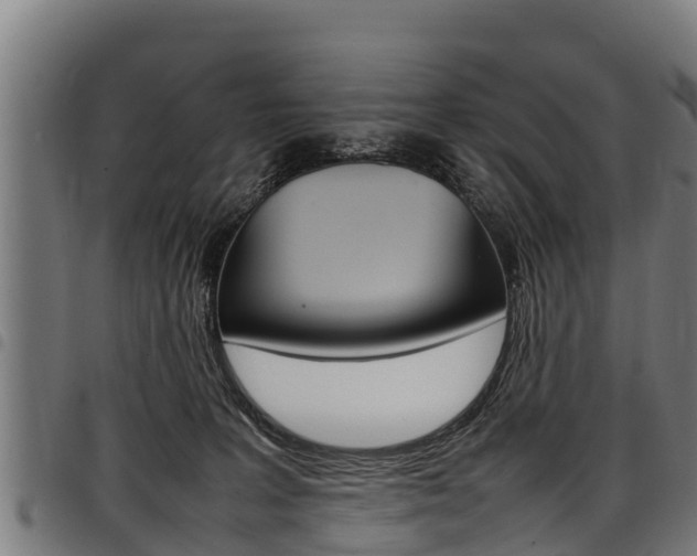 X0000098020227200803280800