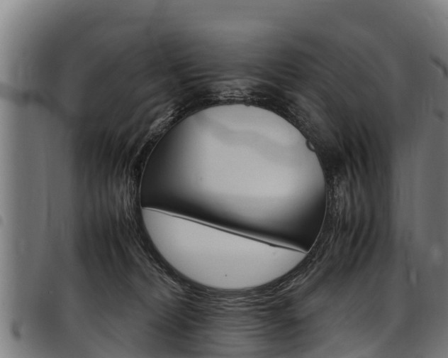 X0000098020228200803280800