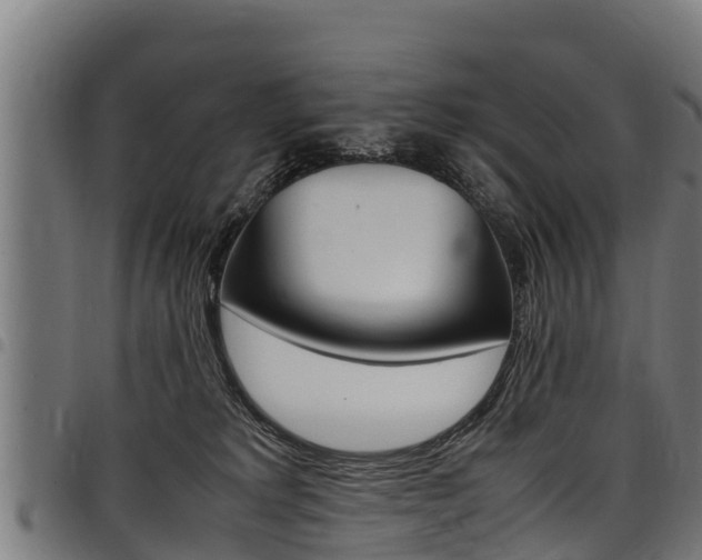 X0000098020229200803280800