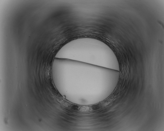 X0000098020230200803280800