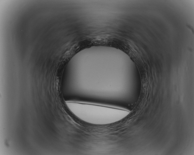 X0000098020231200803280800