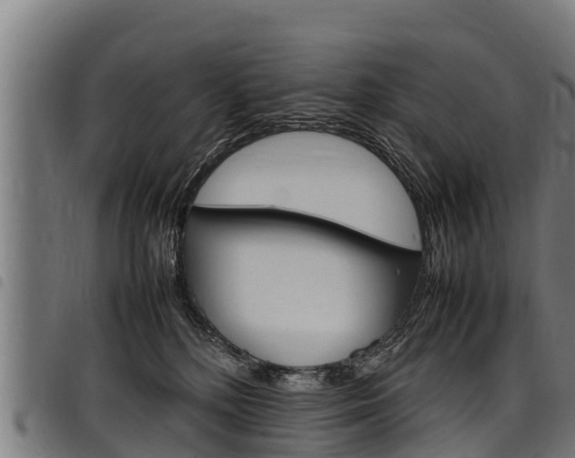 X0000098020232200803280800