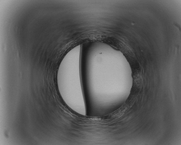 X0000098020233200803280800