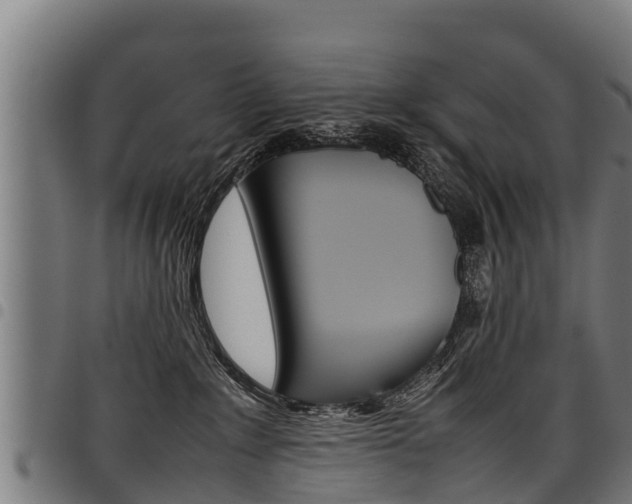 X0000098020235200803280800