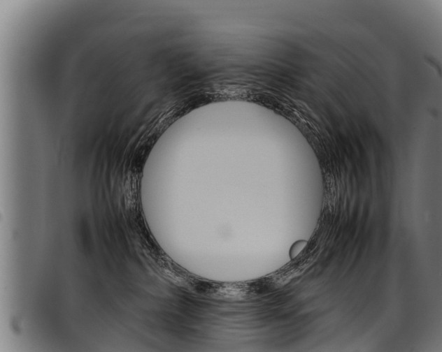 X0000098020236200803280800