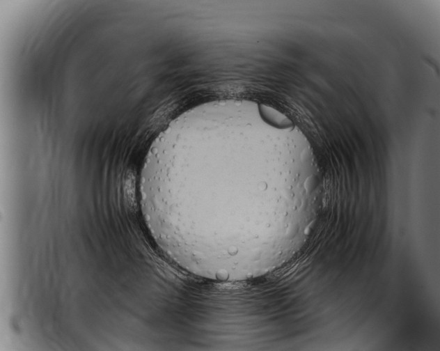 X0000098020238200803280800