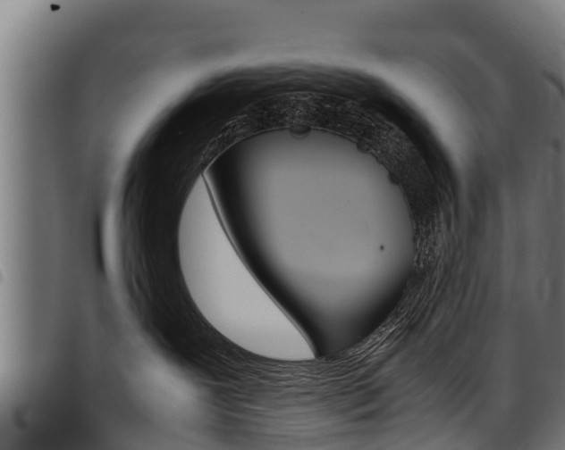 X0000098020239200803280800