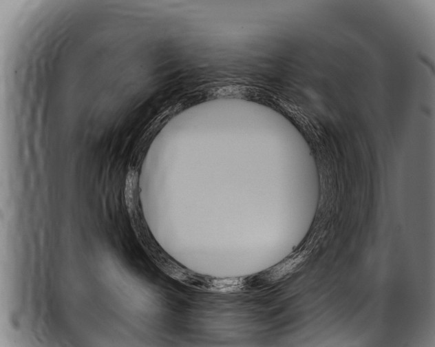 X0000098020240200803280800