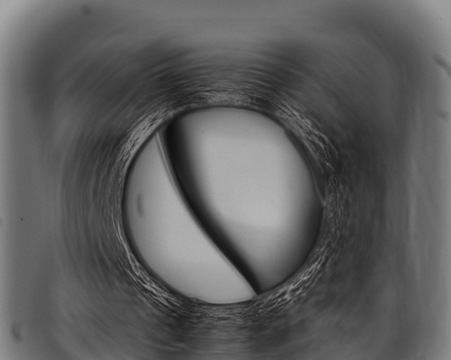 X0000098020241200803280759