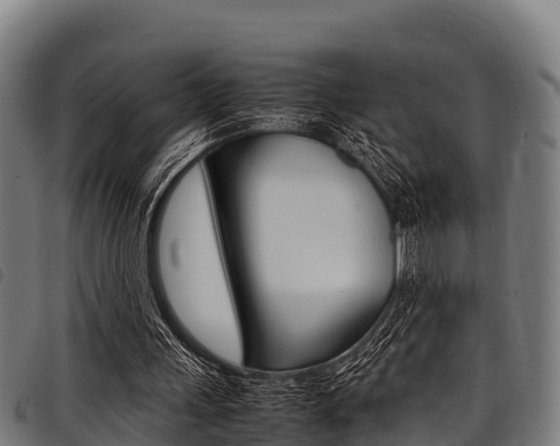 X0000098020243200803280759