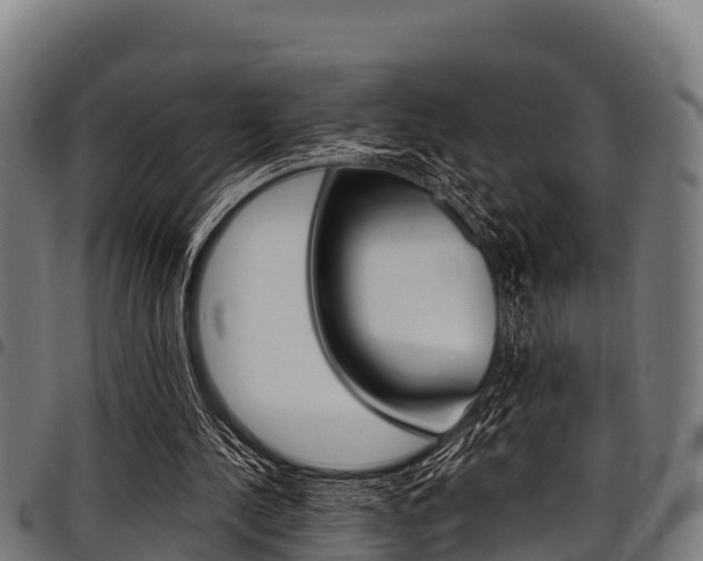X0000098020244200803280759
