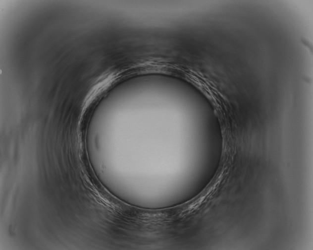 X0000098020245200803280759