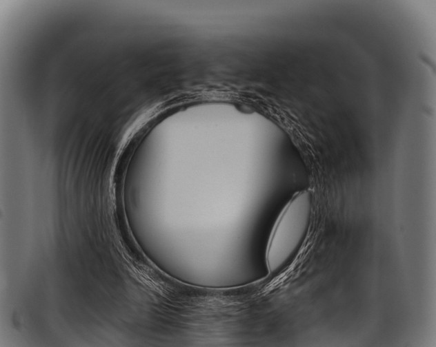 X0000098020246200803280759