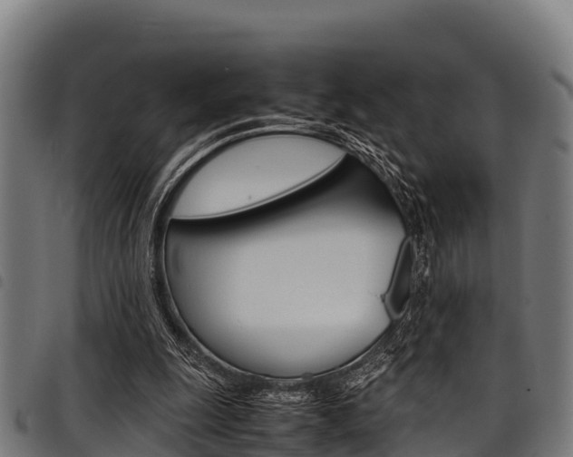 X0000098020247200803280759
