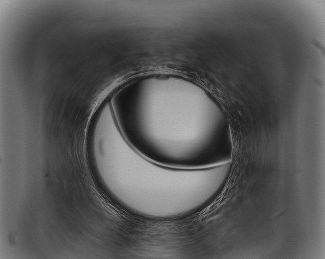 X0000098020248200803280759