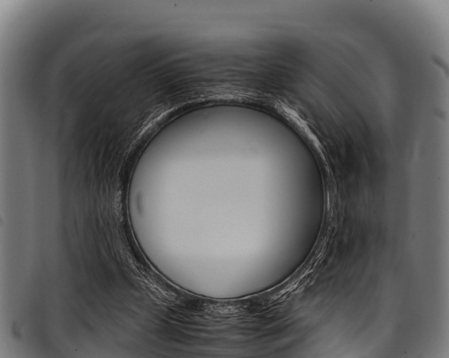 X0000098020249200803280759