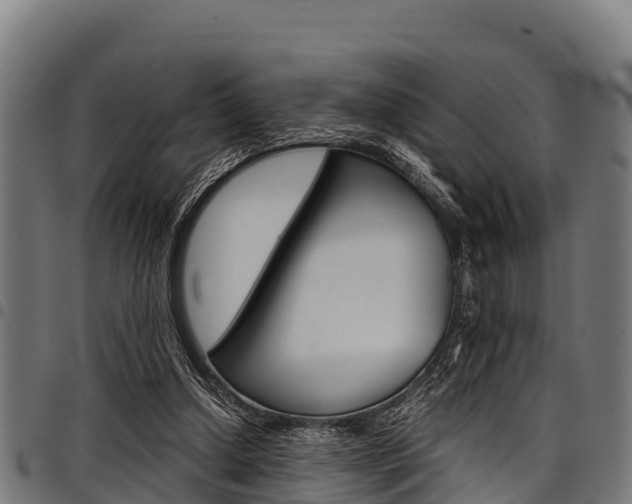 X0000098020250200803280759