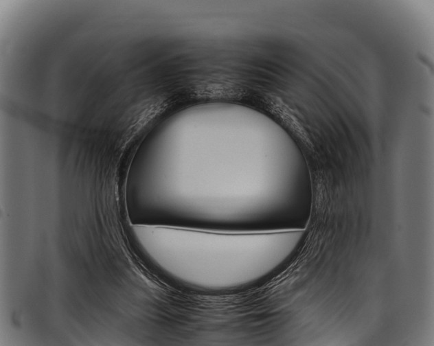 X0000098020251200803280759