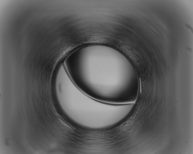 X0000098020252200803280759