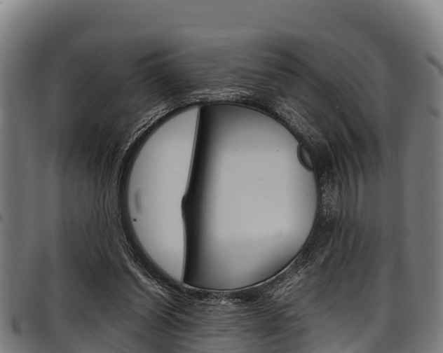 X0000098020254200803280759