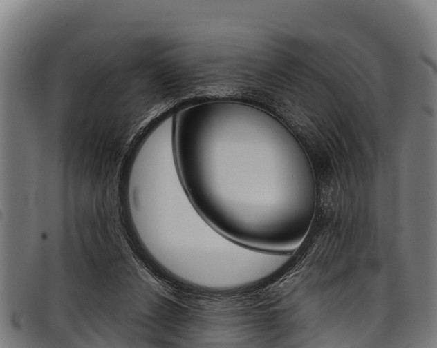 X0000098020256200803280759