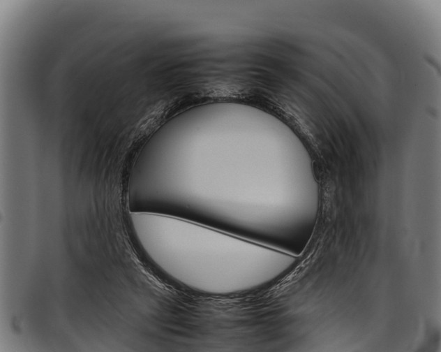 X0000098020257200803280759