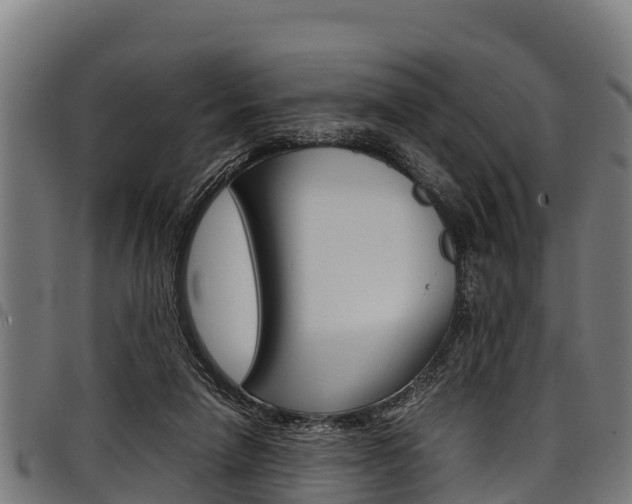 X0000098020258200803280759