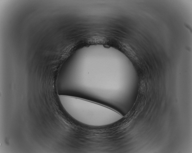 X0000098020259200803280759