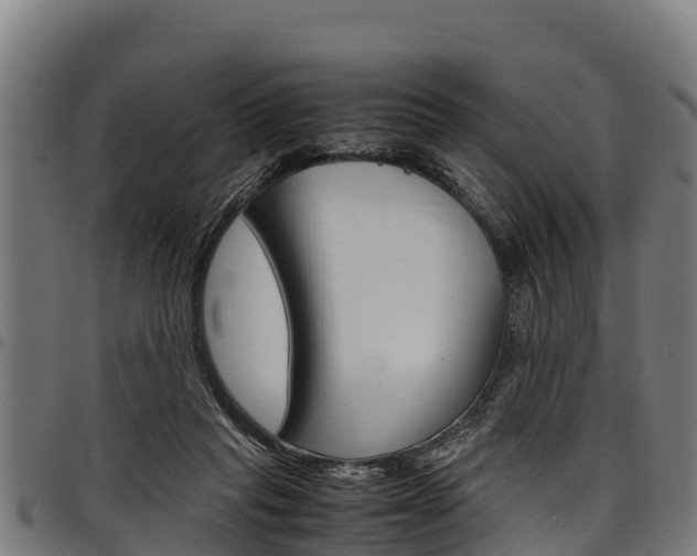 X0000098020261200803280759